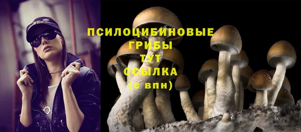 спайс Покровск