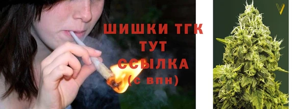 PSILOCYBIN Верхний Тагил