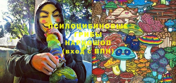 PSILOCYBIN Верхний Тагил