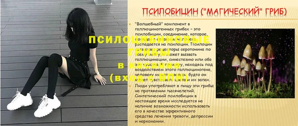экстази Покачи