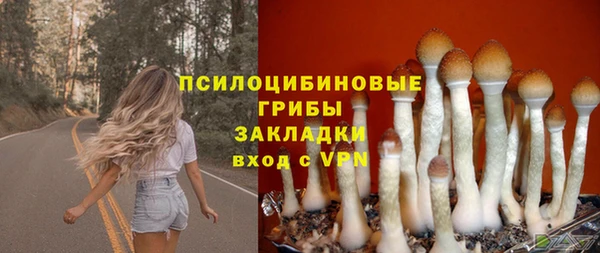 спайс Покровск