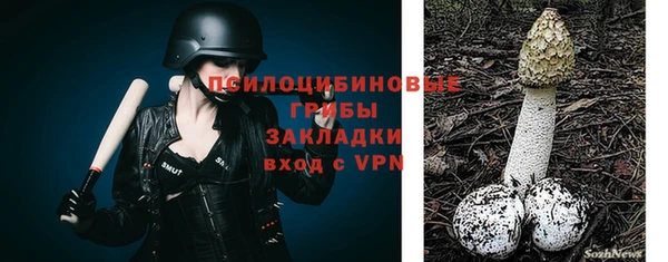 экстази Покачи